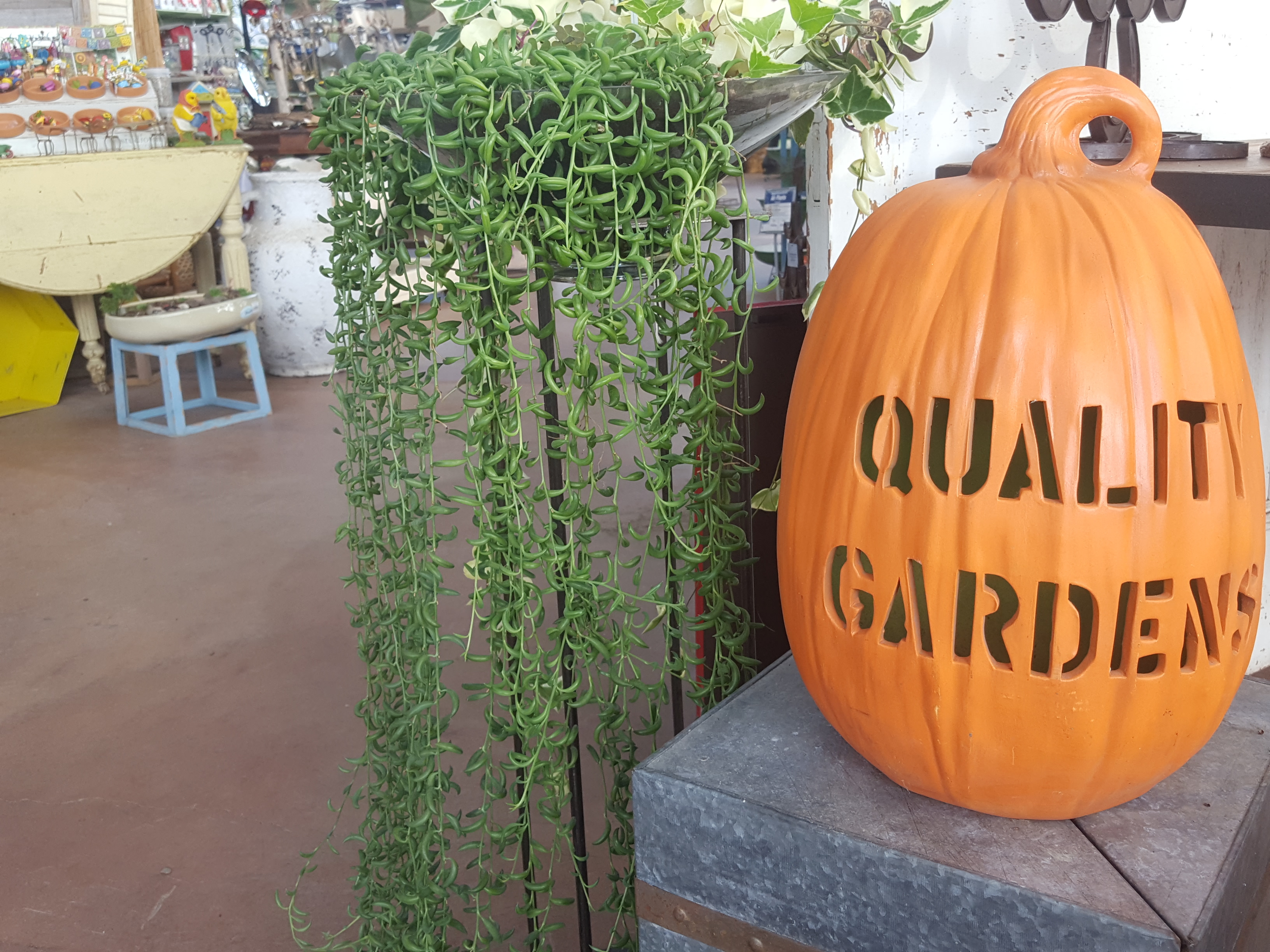 Quality Gardens
