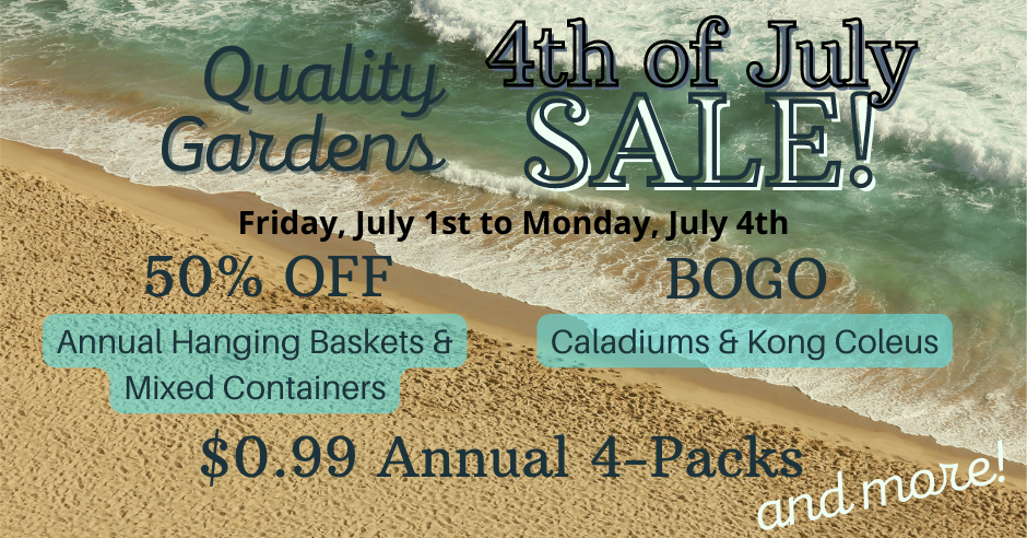 Quality Gardens 4th of July Sale Friday July 1st to Monday July 4th 50% Off Annual Hanging Baskets & Mixed Containers BOGO Caladiums and Kong Coleus $0.99 Annual Four Packs and more!